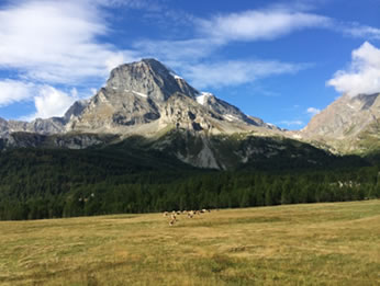18 settembre – Leggi il resoconto della gita all’Alpe Veglia