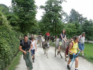 10 novembre: Leggi il resoconto del Trekking del giugno scorso